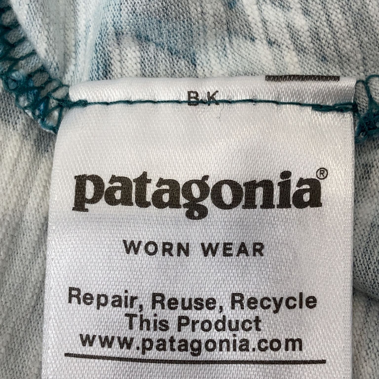 Patagonia