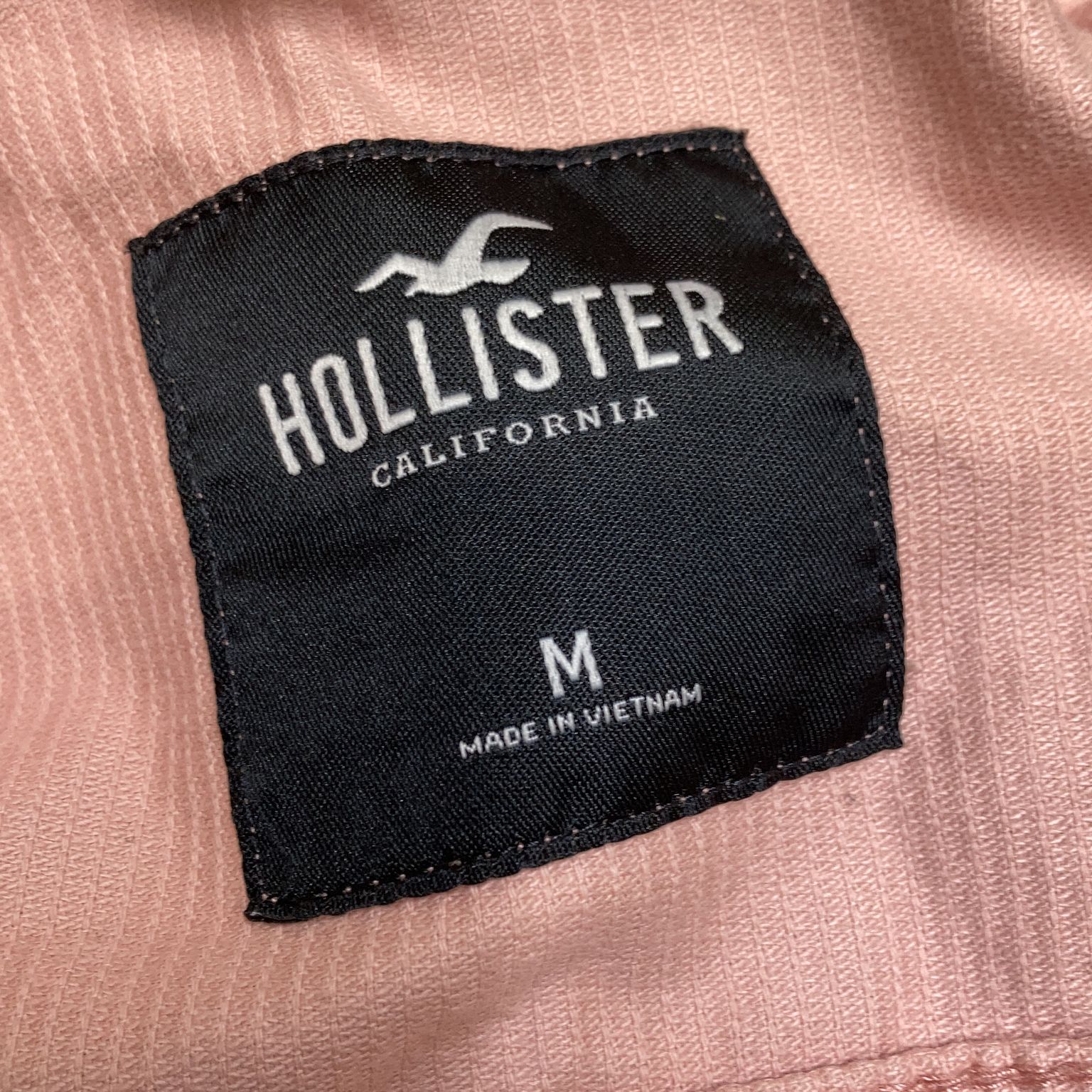 Hollister