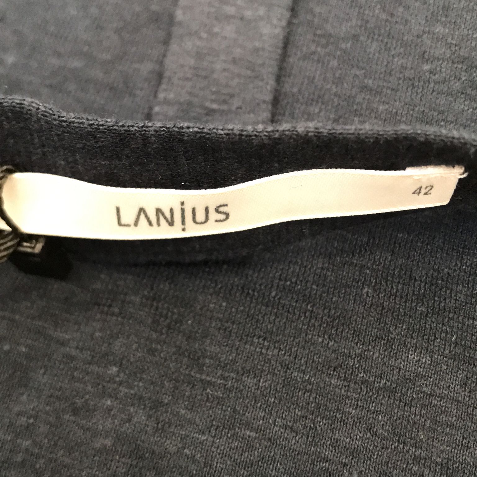 Lanius