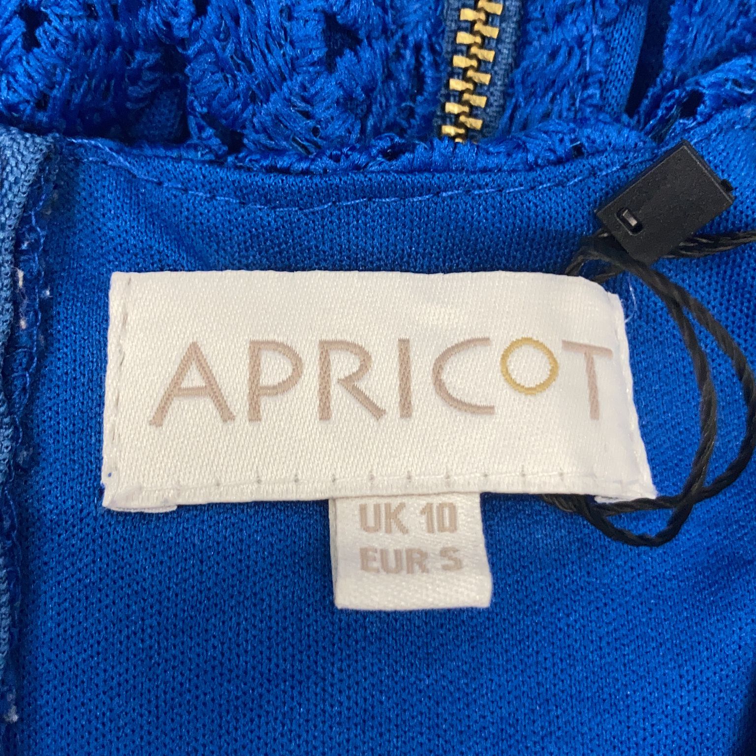 Apricot