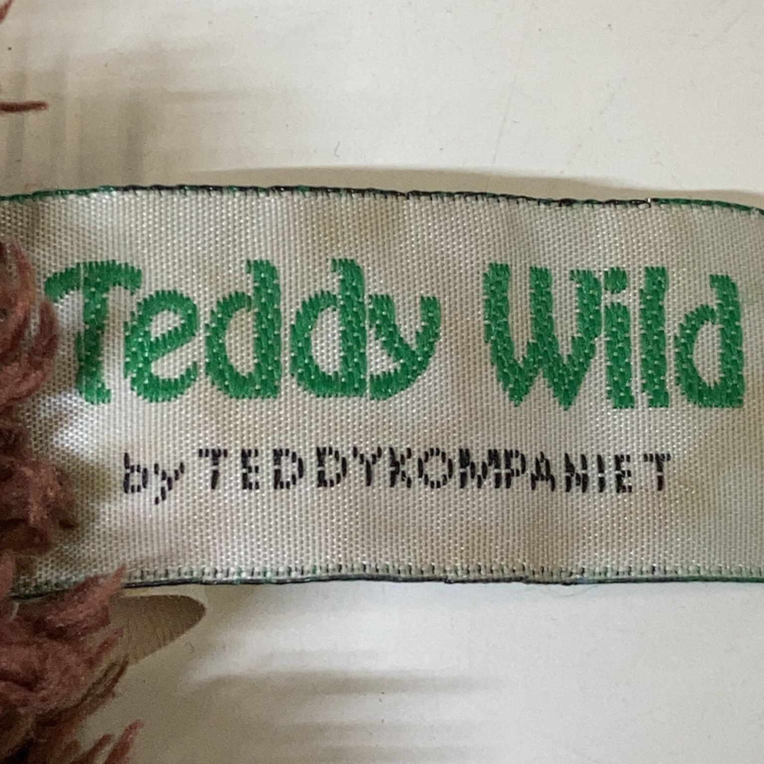 Teddy Wild