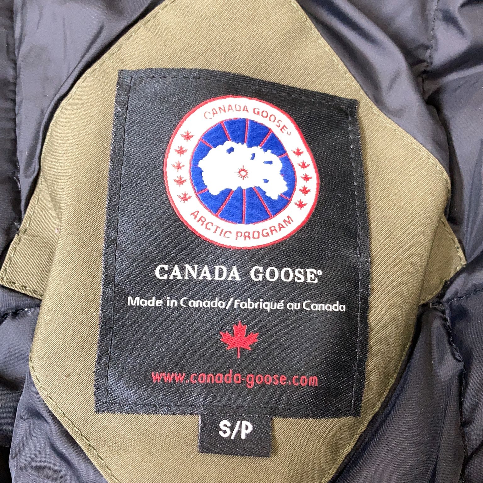 Canada Goose