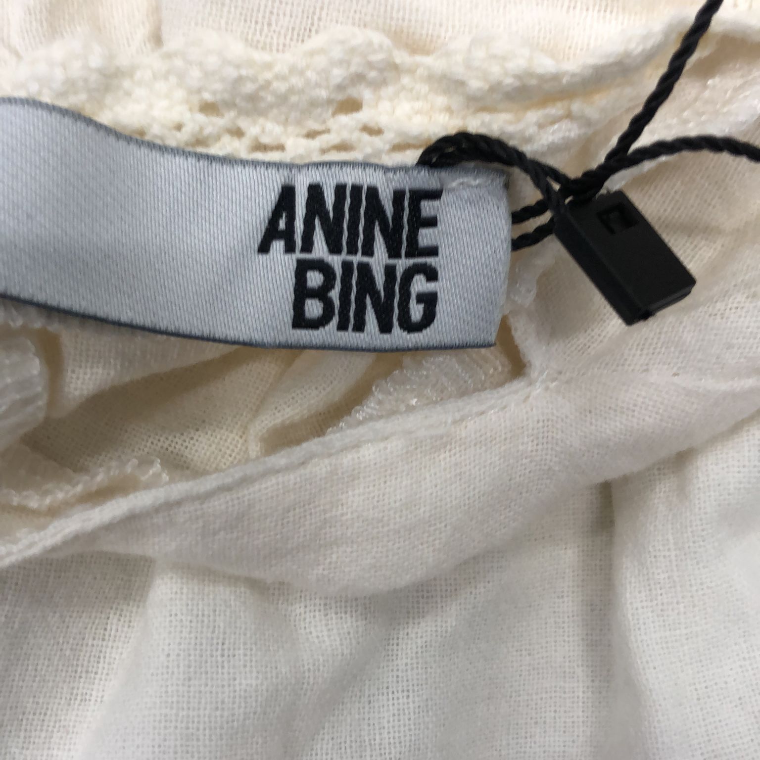 Anine Bing