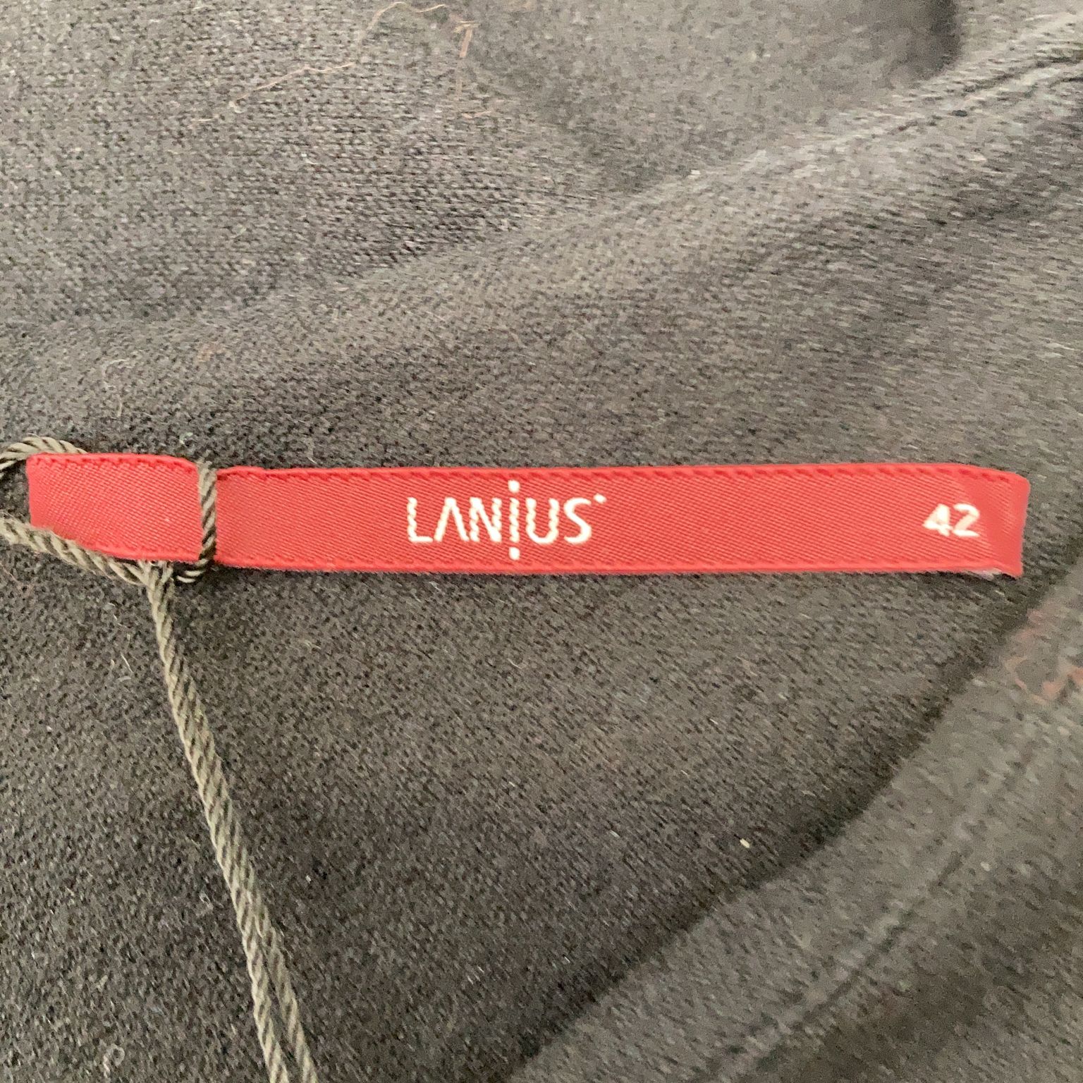 Lanius