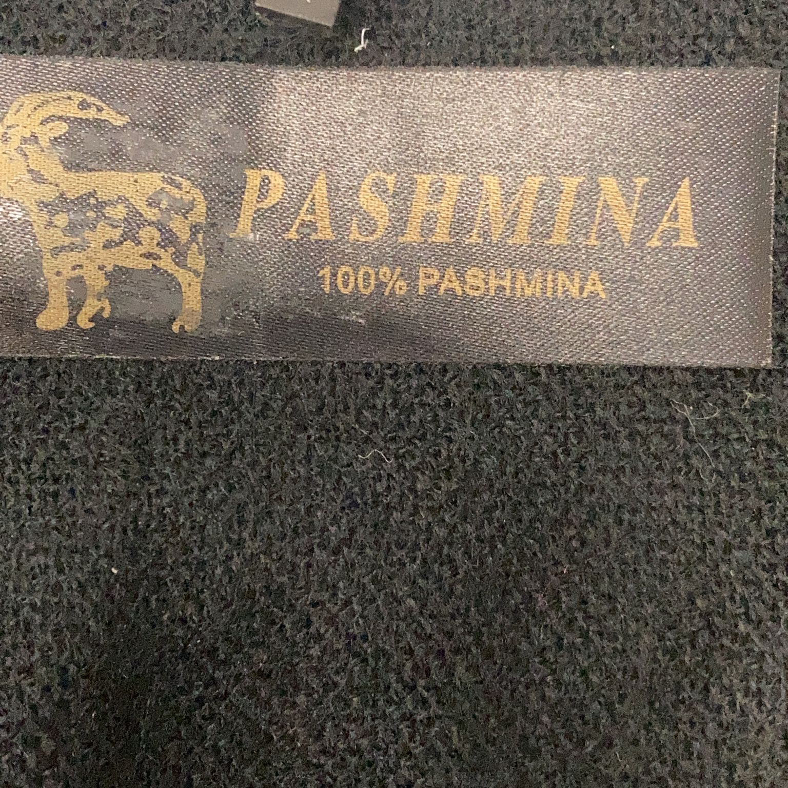 Pashmina