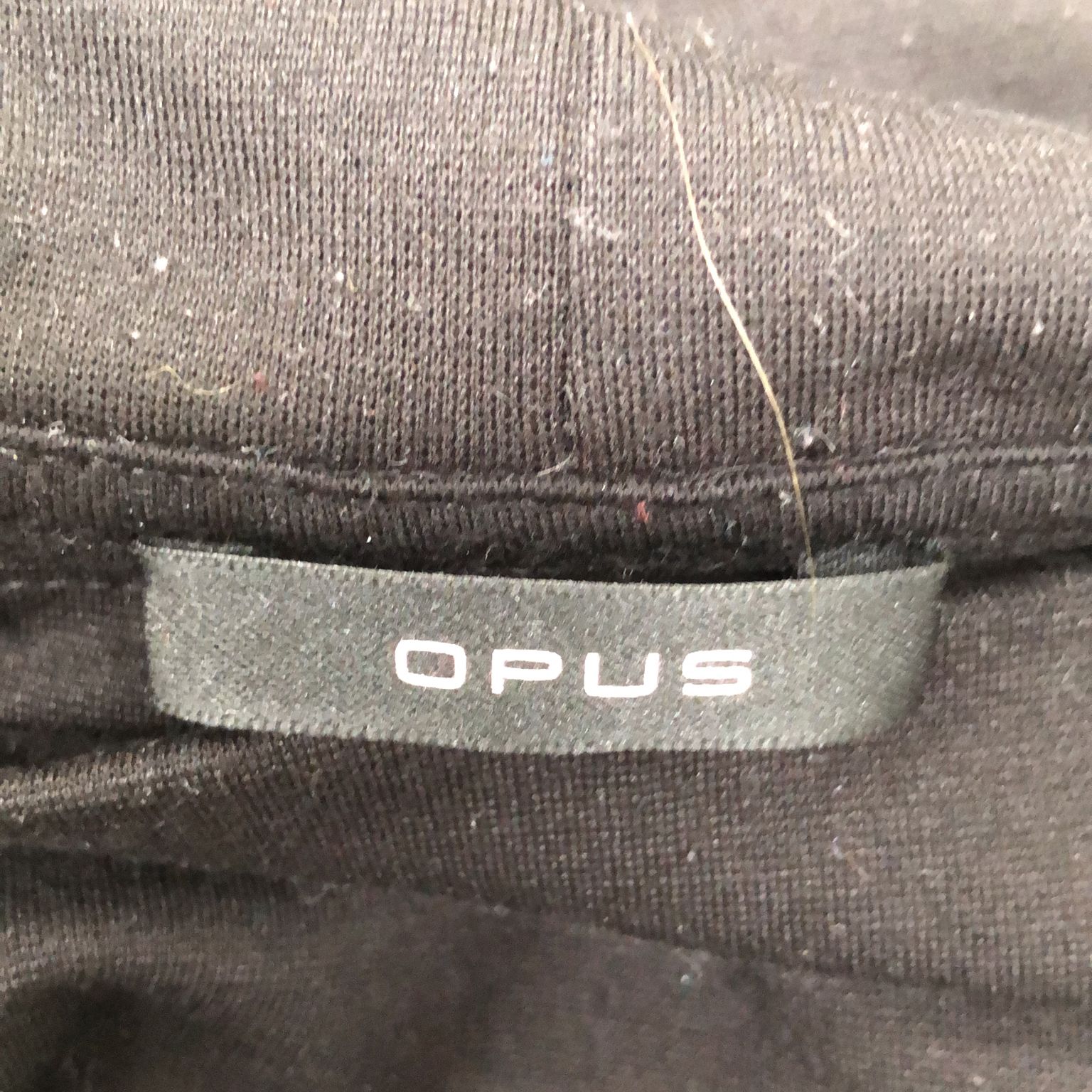 Opus