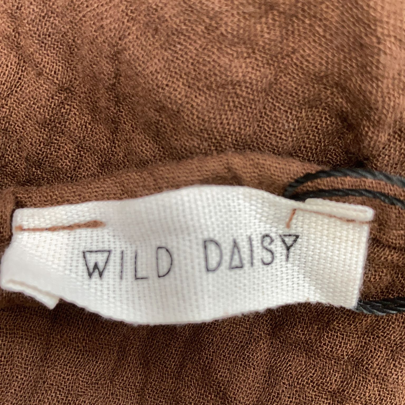 Wild Daisy