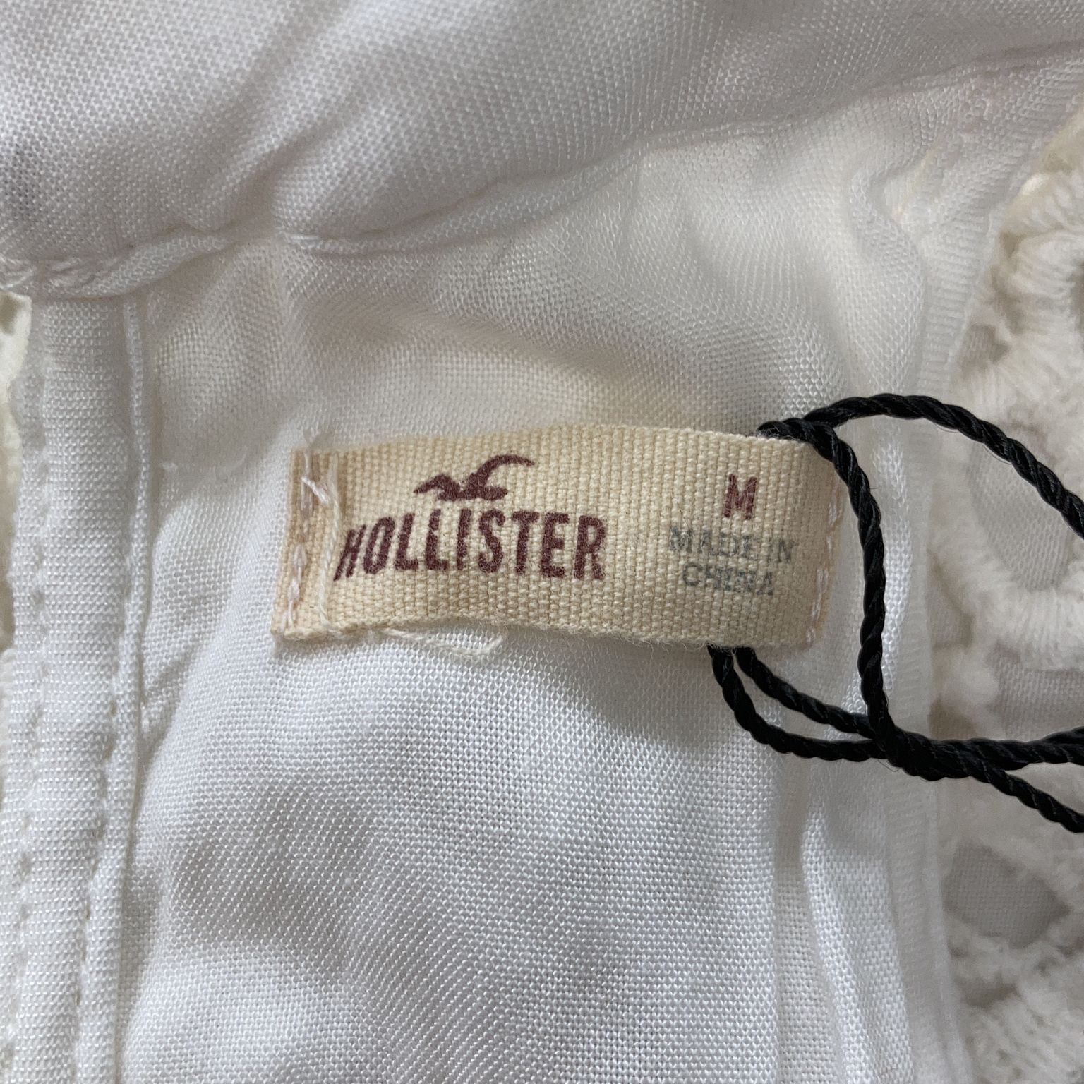 Hollister