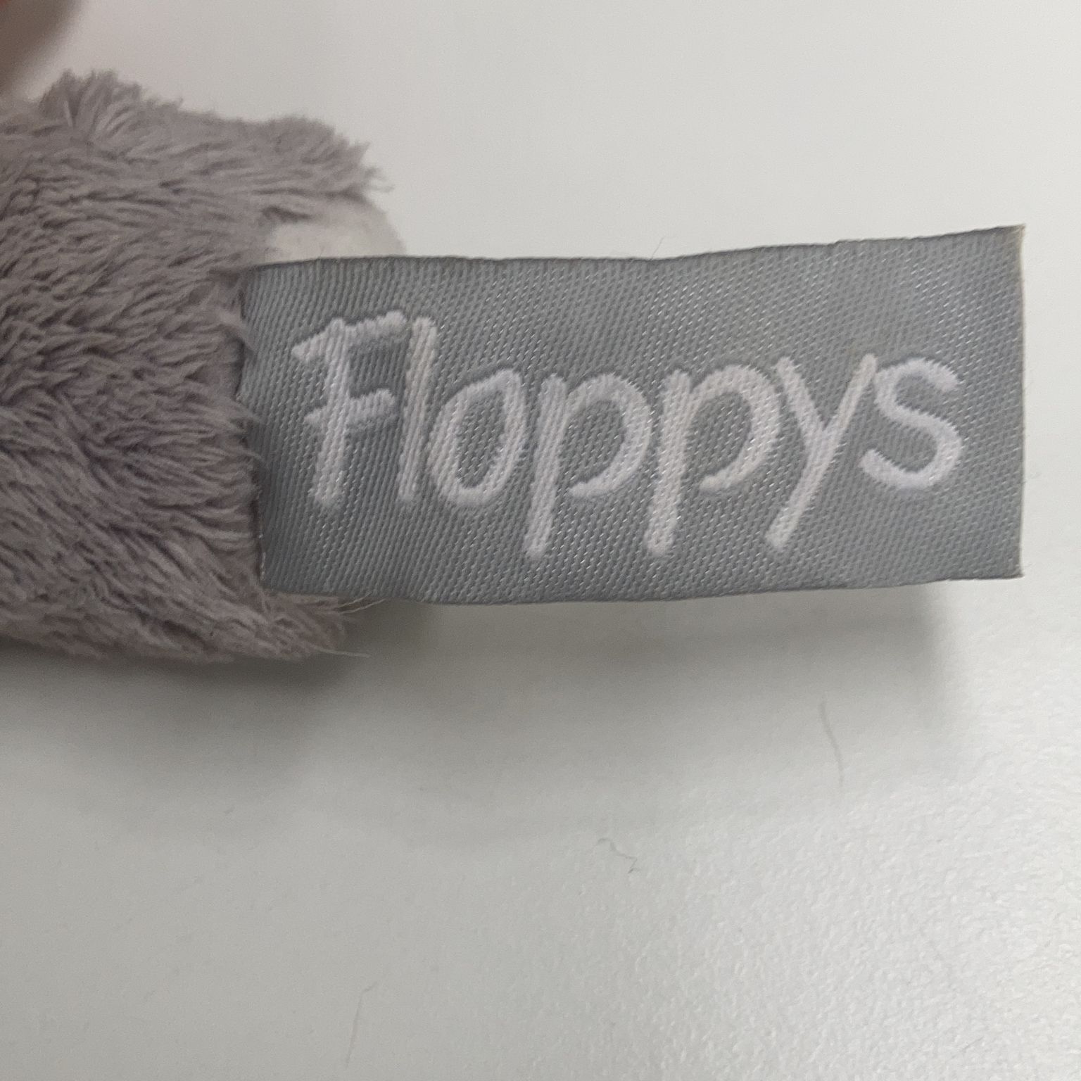 Floppys