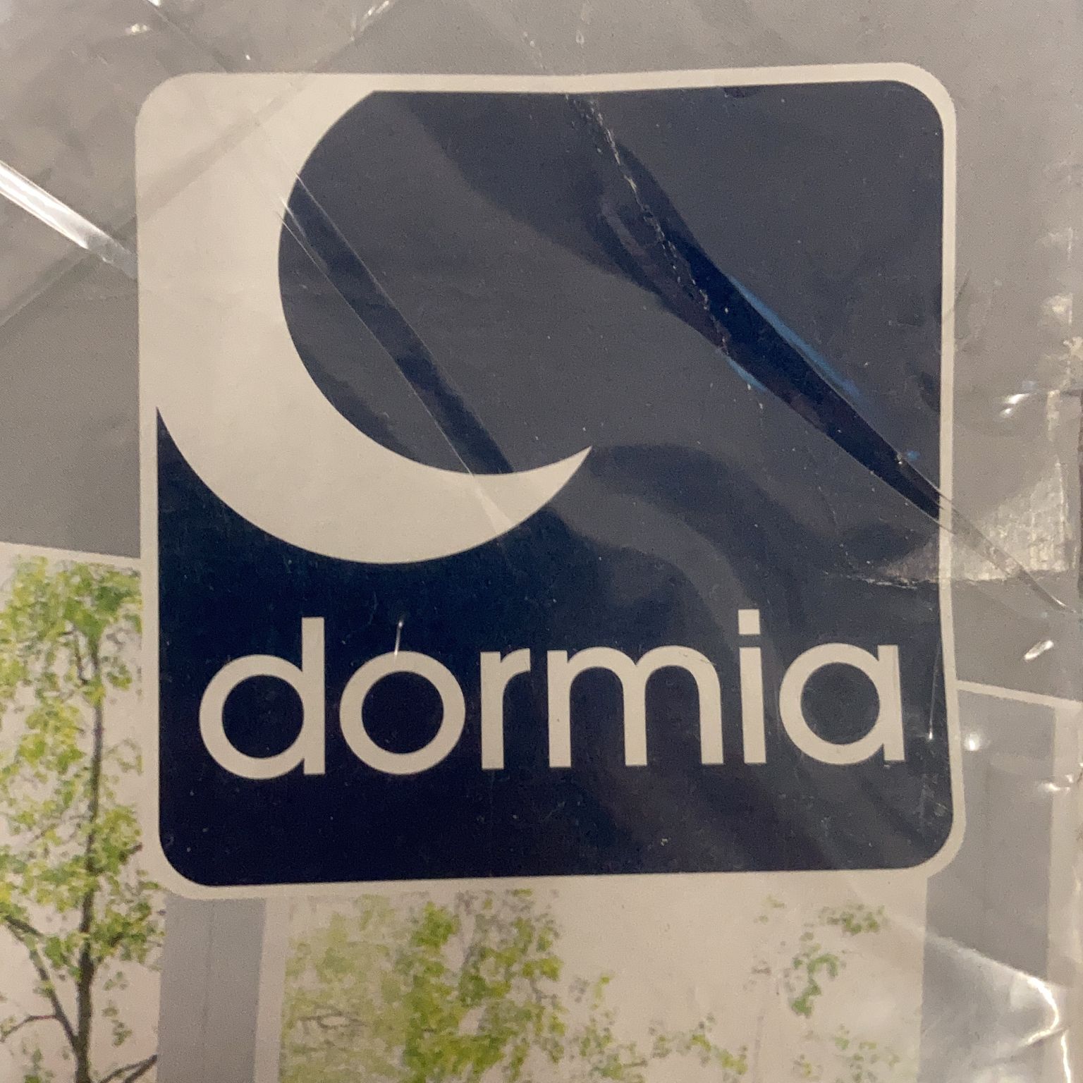 Dormia