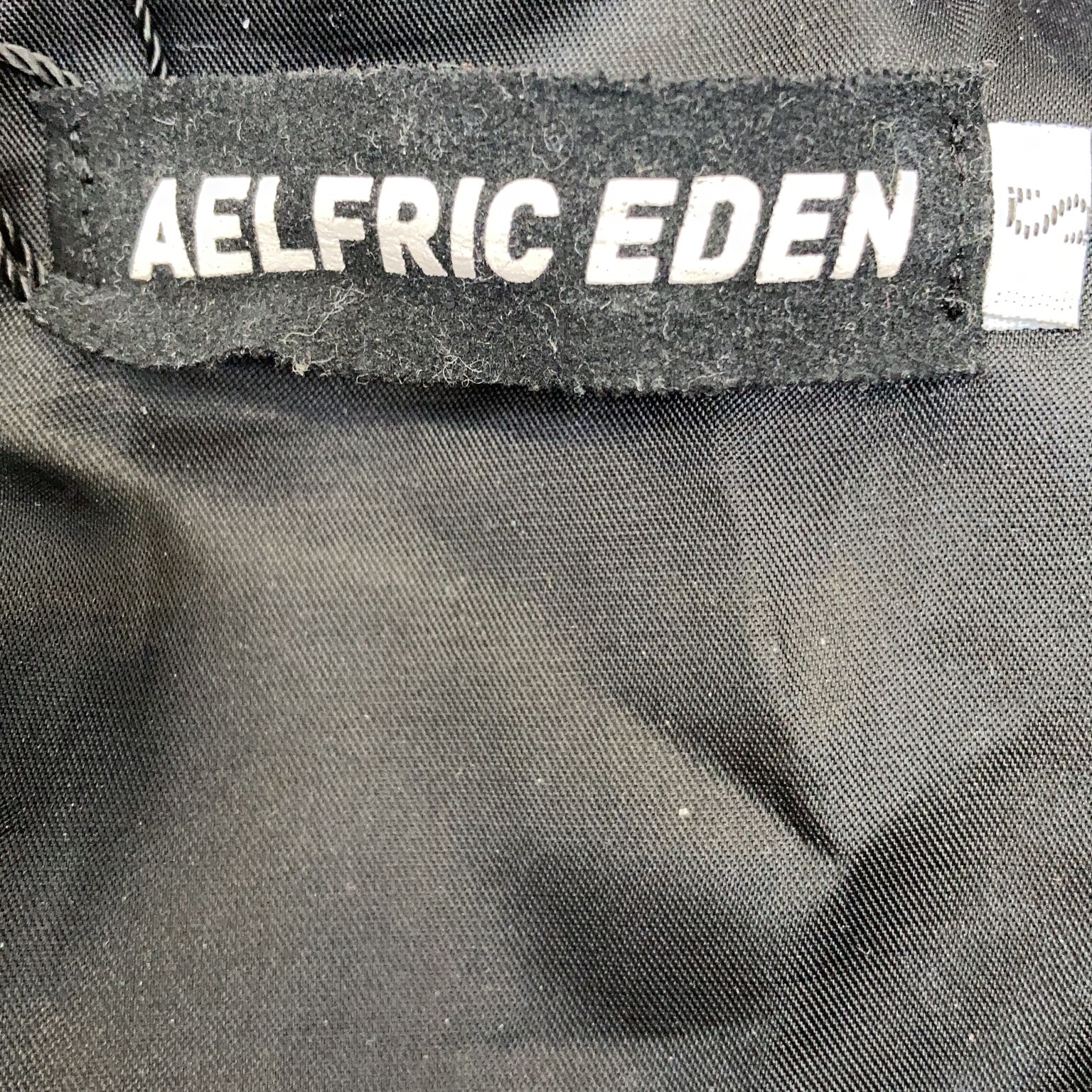 Aelfric Eden