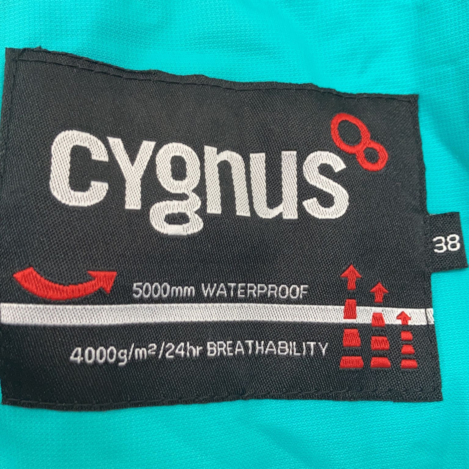 Cygnus