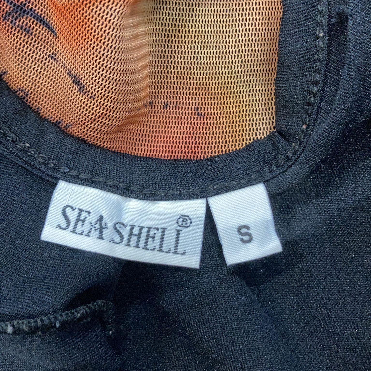 Sea Shell