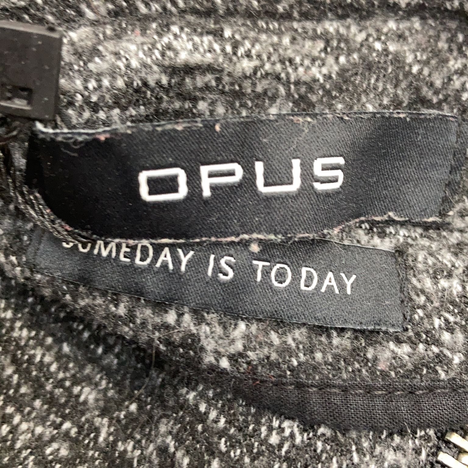 Opus Someday Is Today