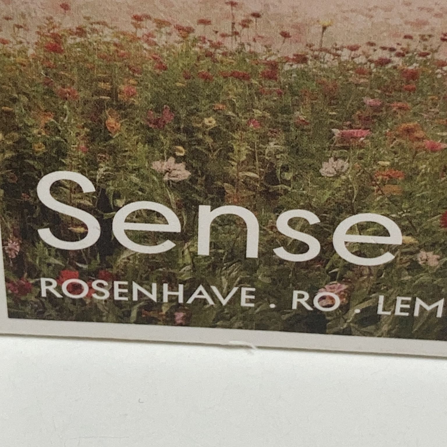 Sense