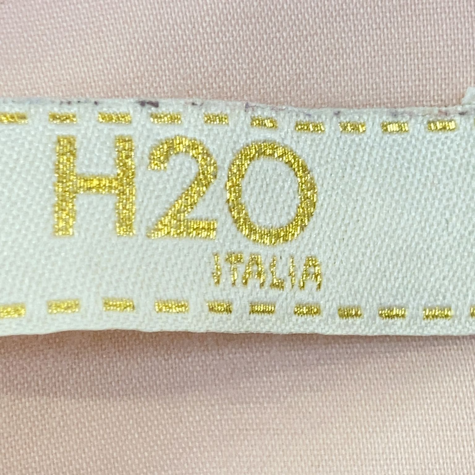 H20