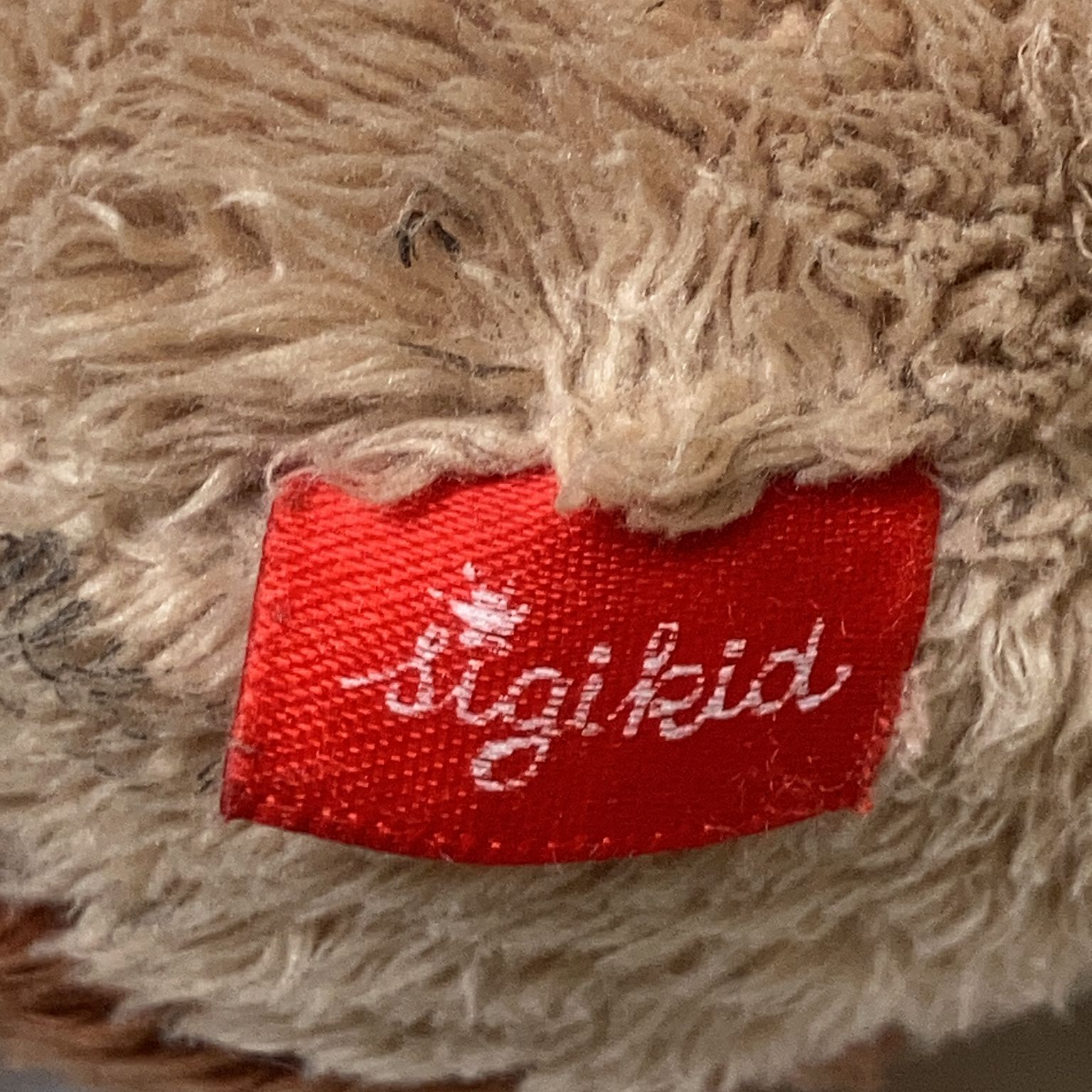 Sigikid