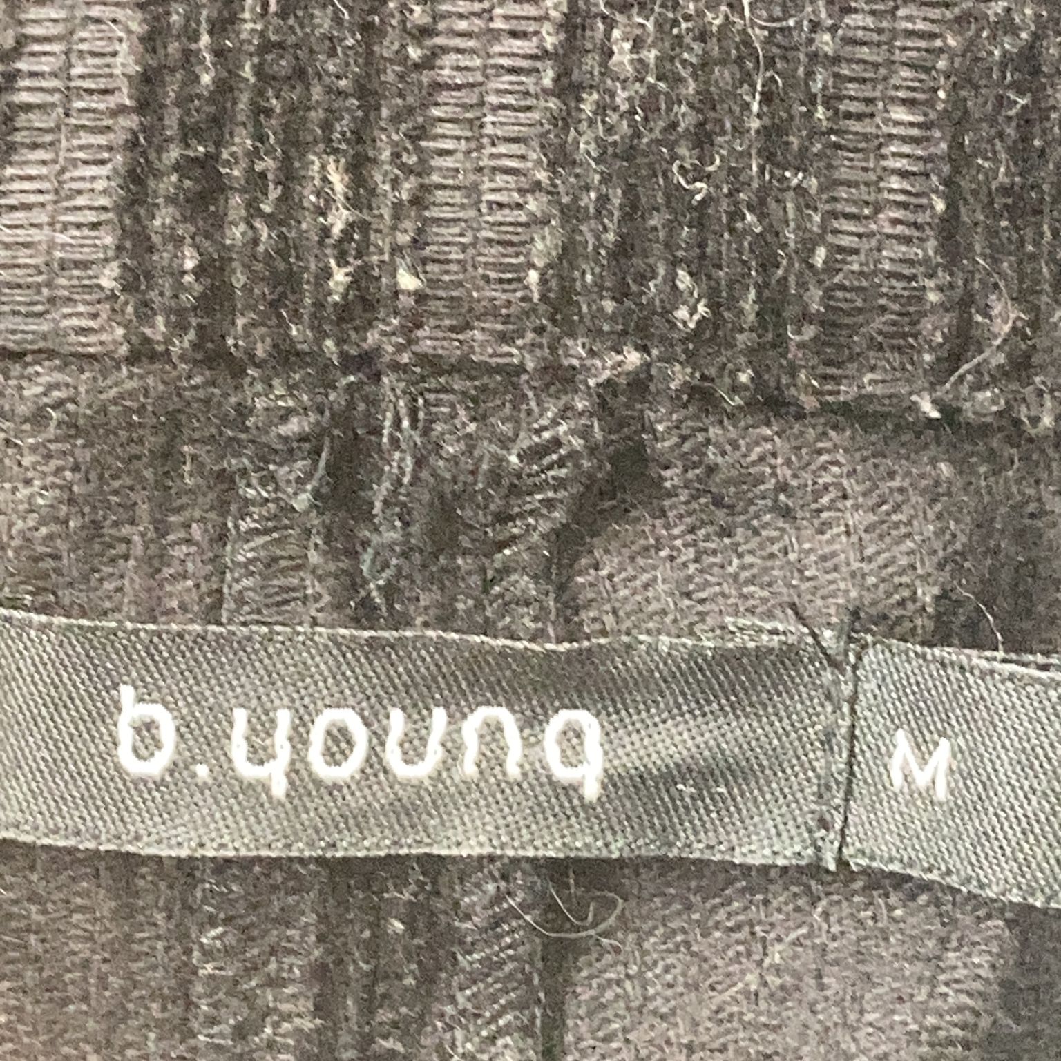 B.Young