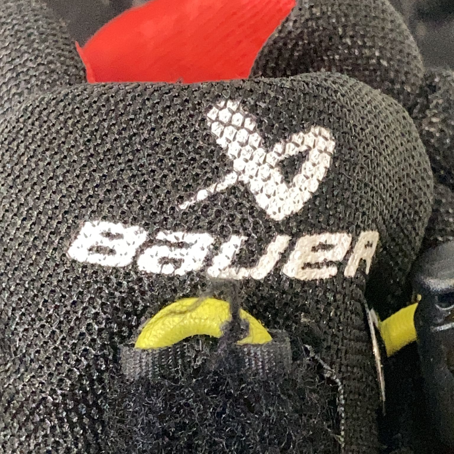 Bauer