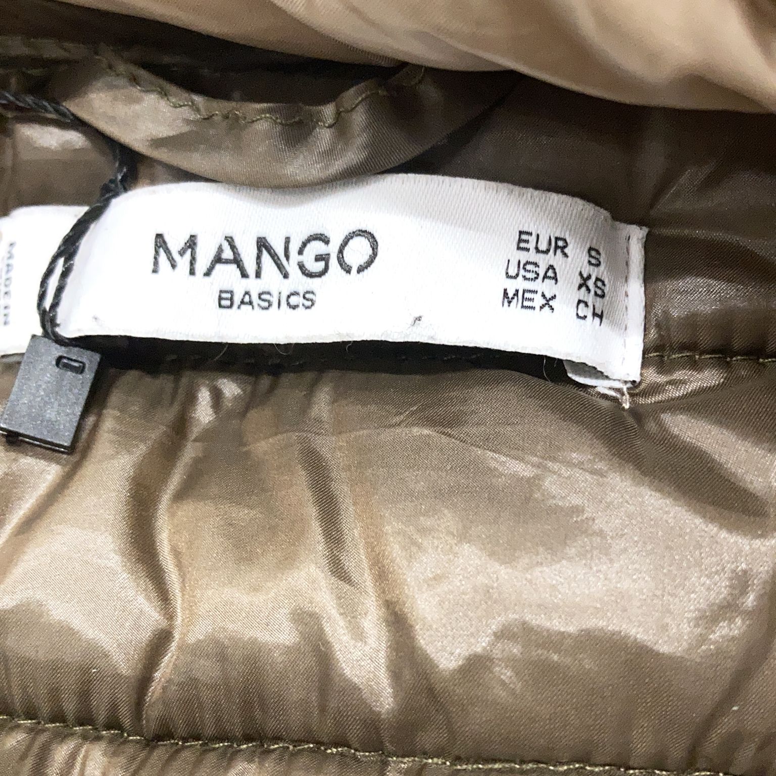 Mango Basics