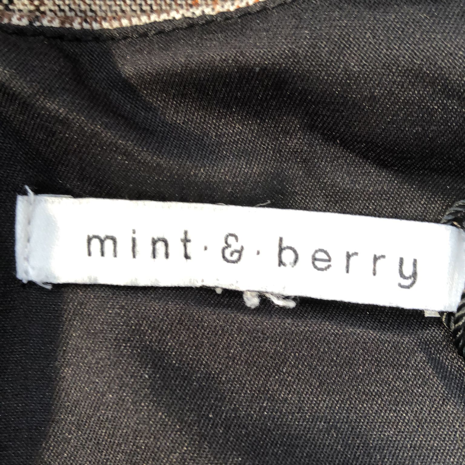 Mint  Berry