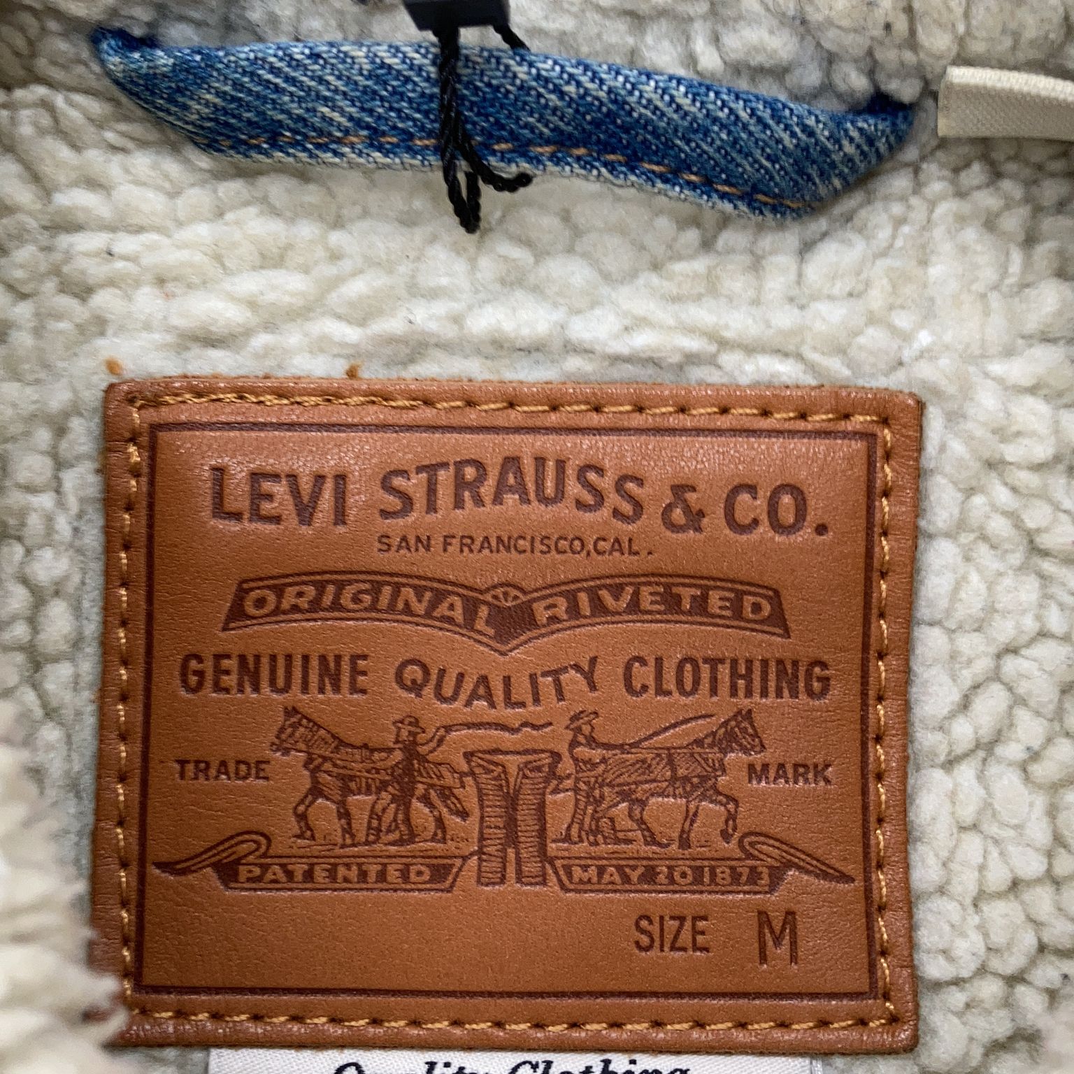 Levi Strauss  Co