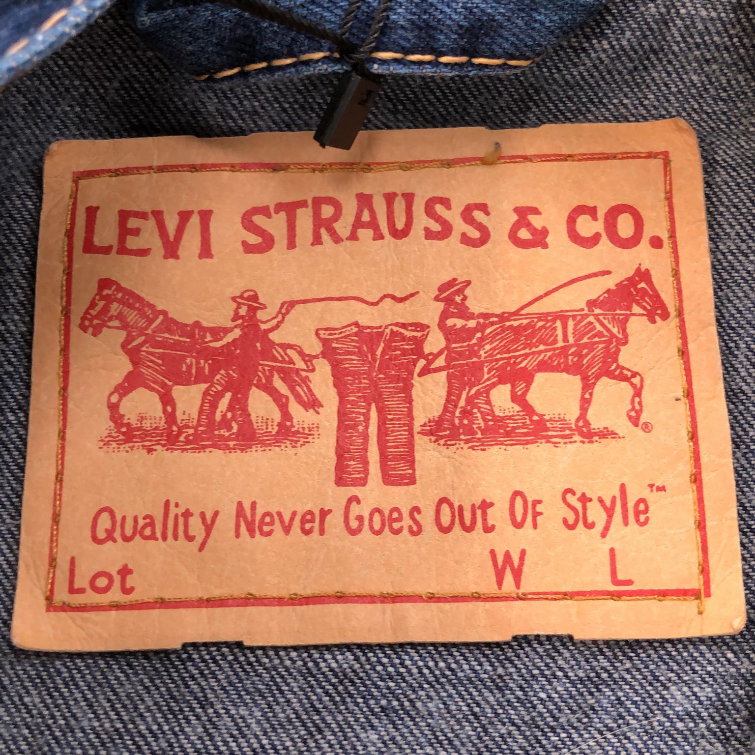 Levi Strauss  Co