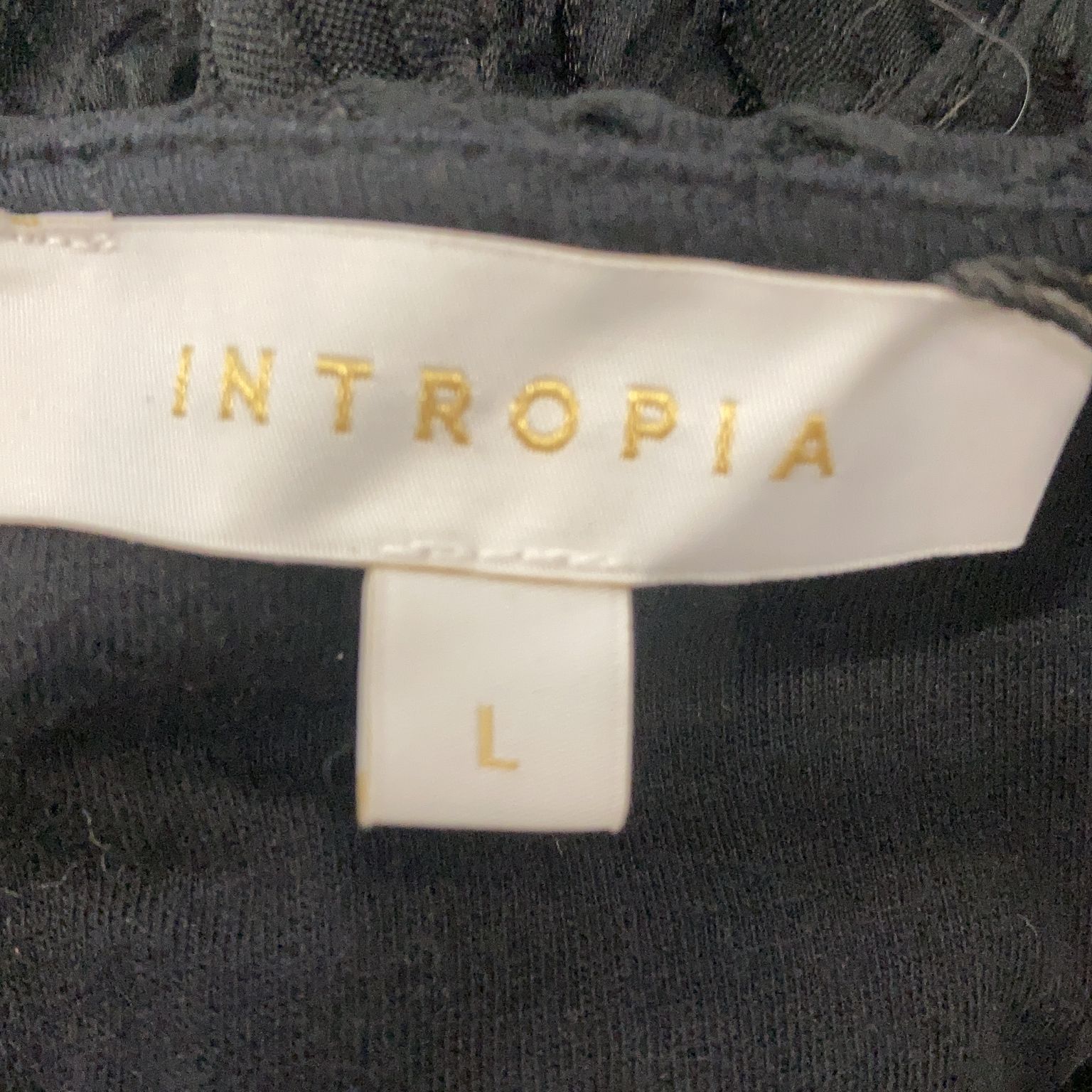 Intropia