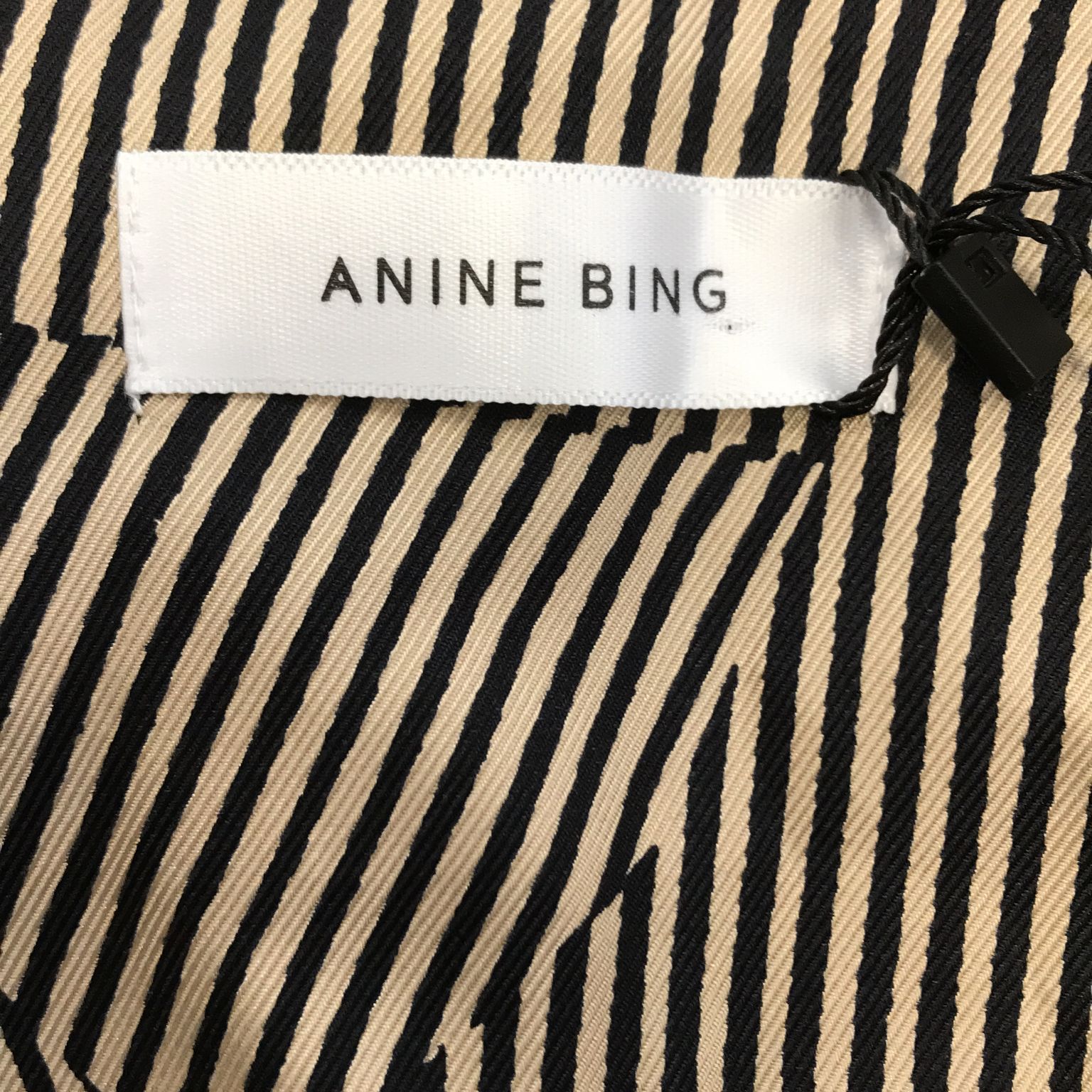 Anine Bing