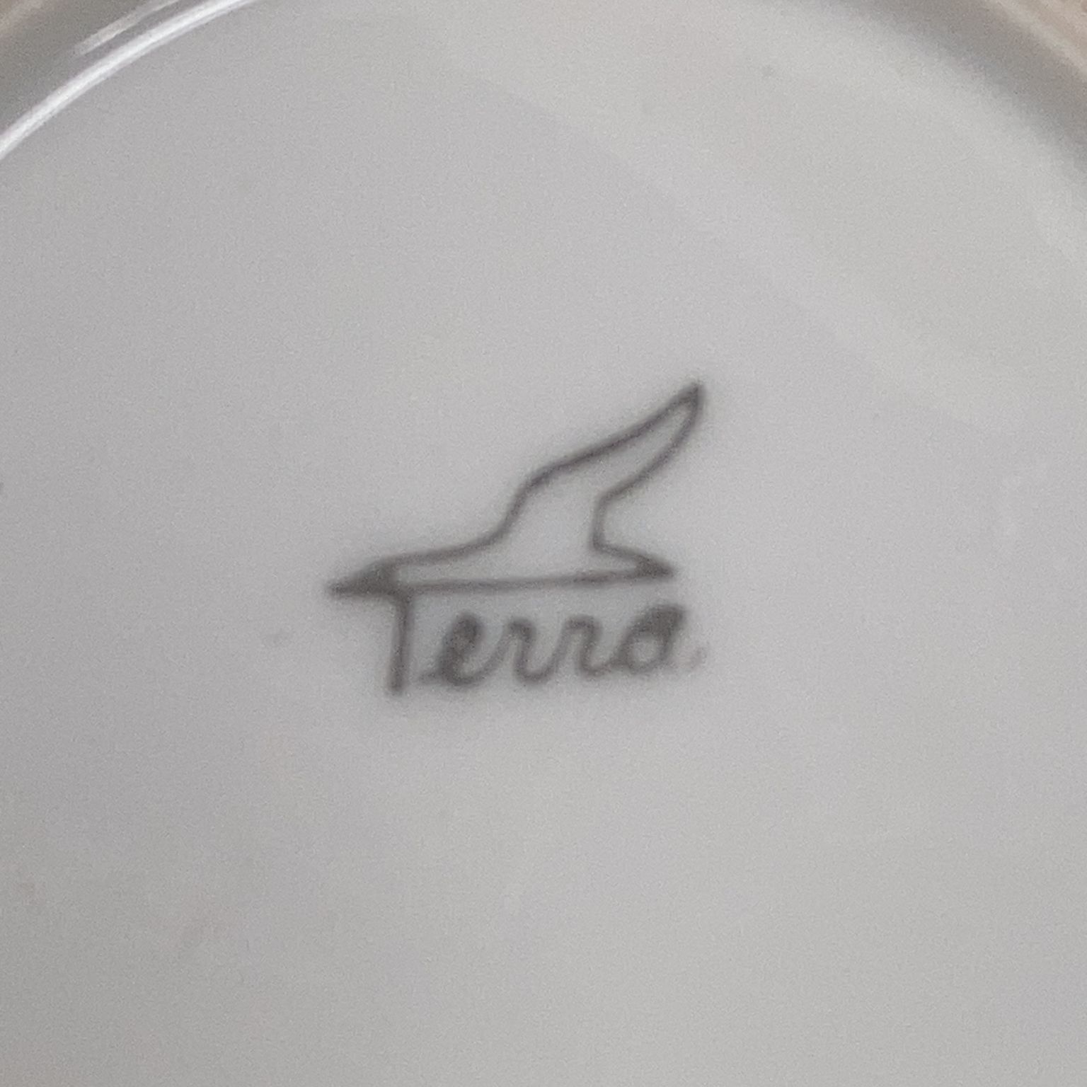 Terra