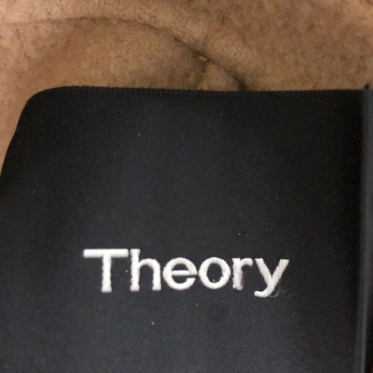 Theory