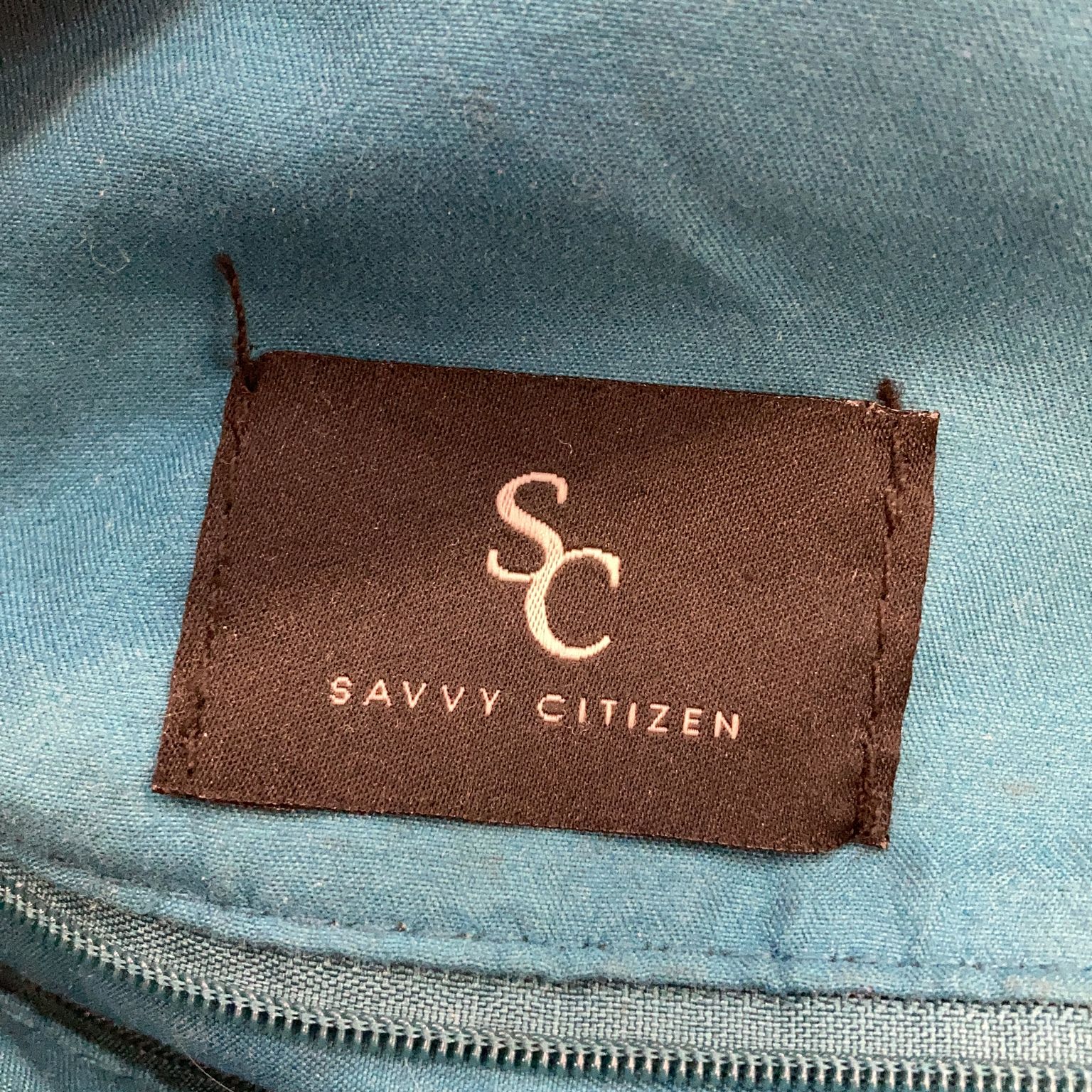 Savvy Citizen