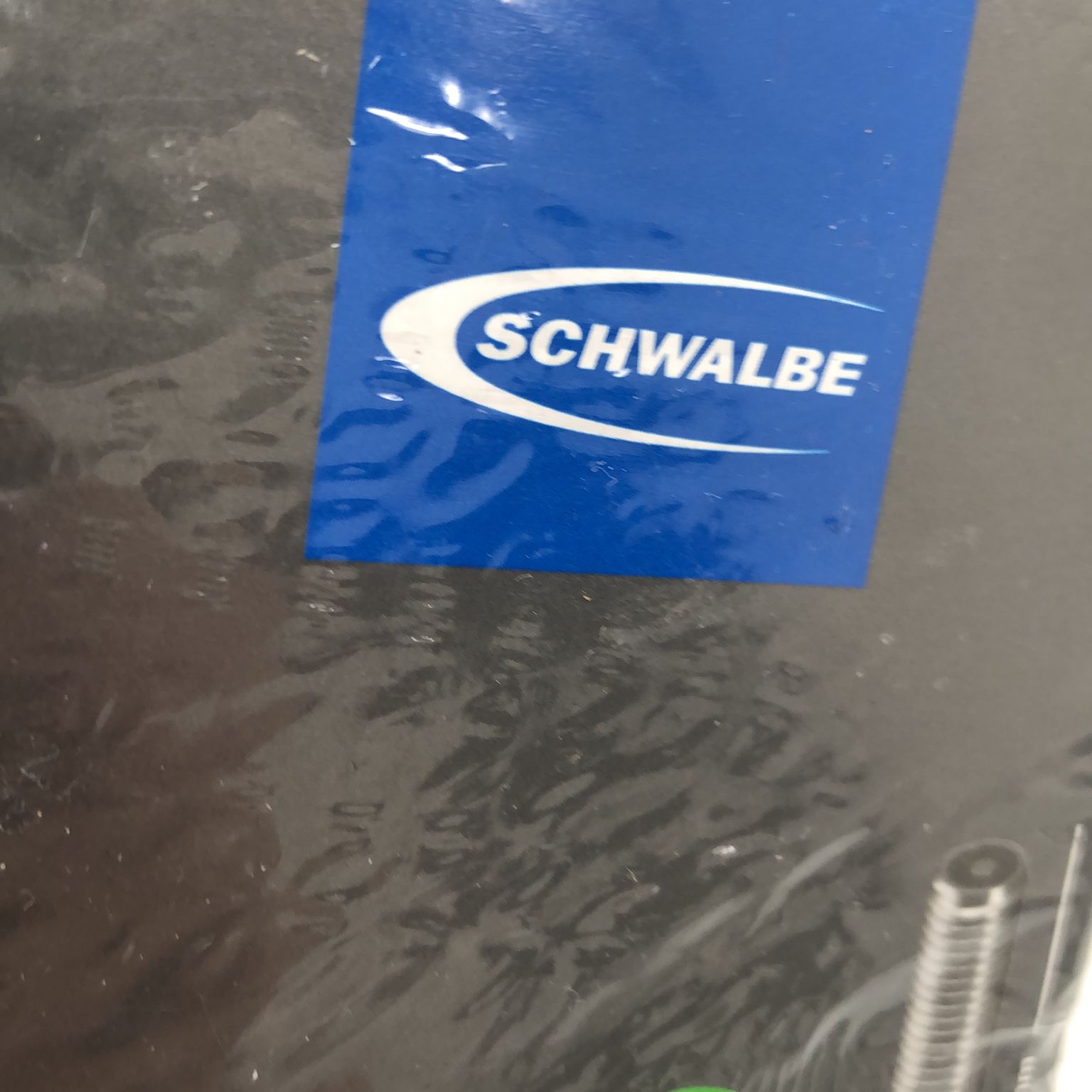 Schwalbe