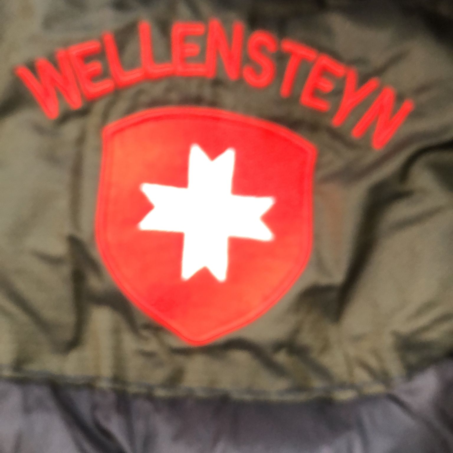 Wellensteyn