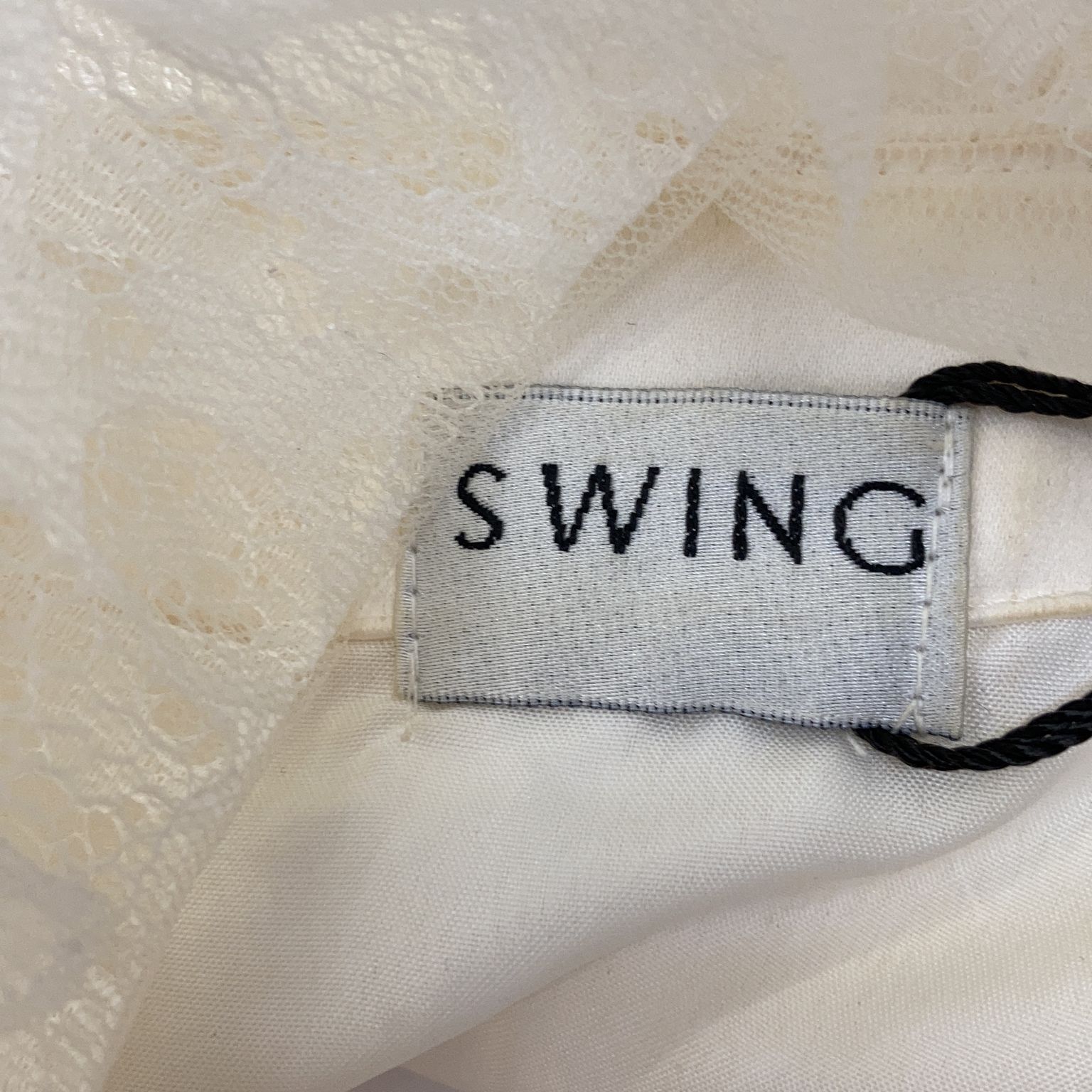 Swing