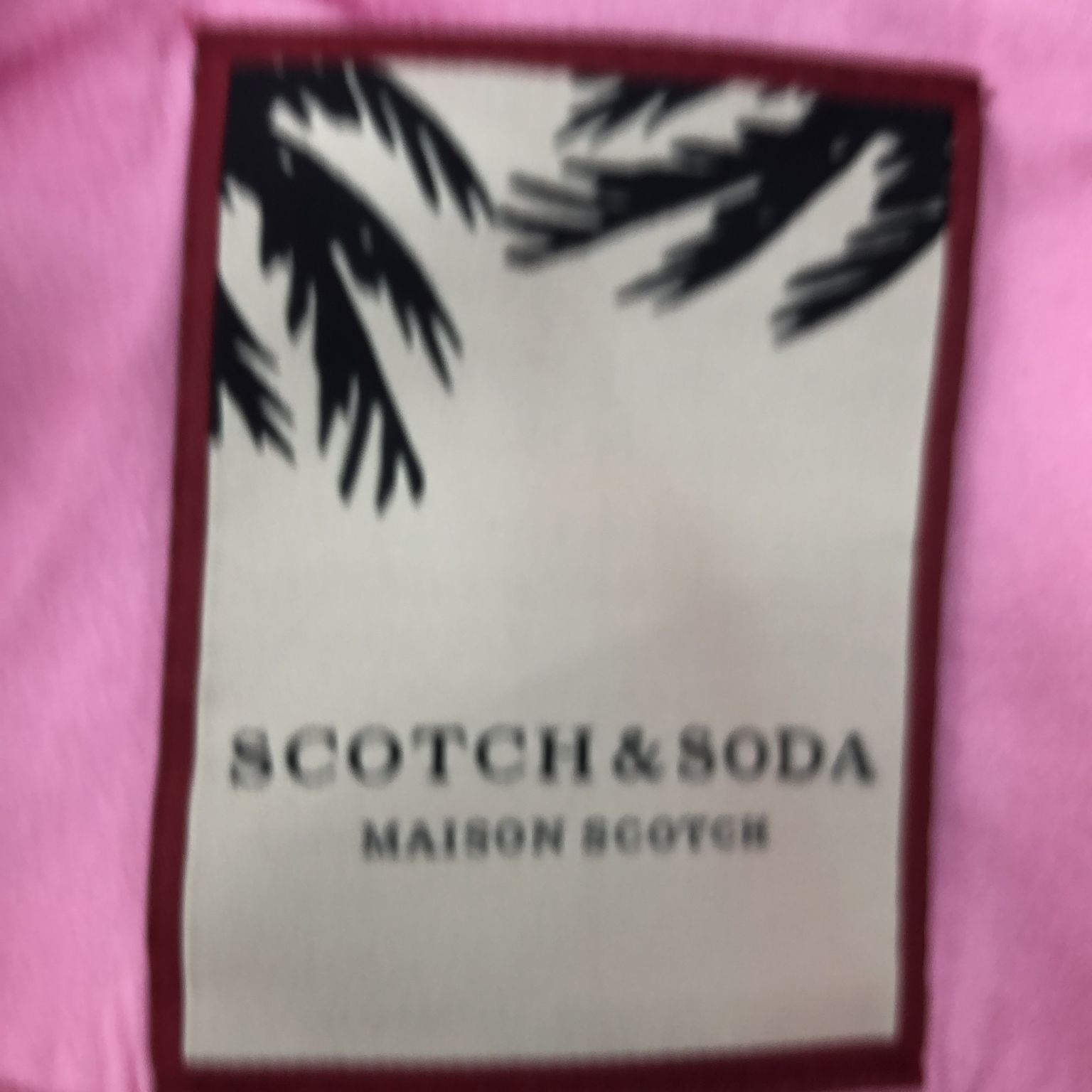 Scotch  Soda