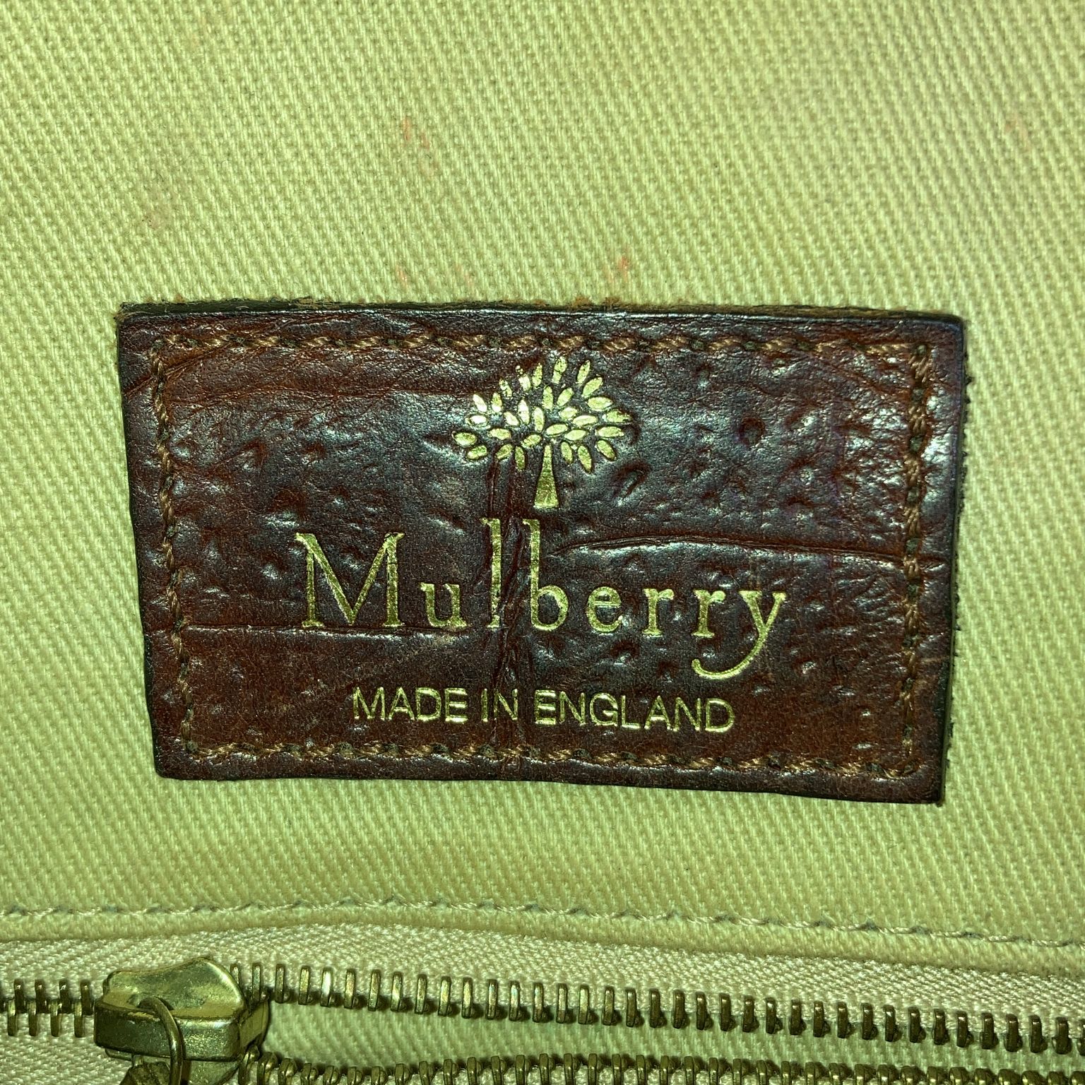 Mulberry