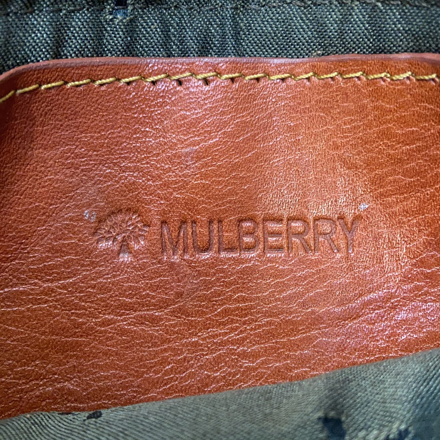 Mulberry