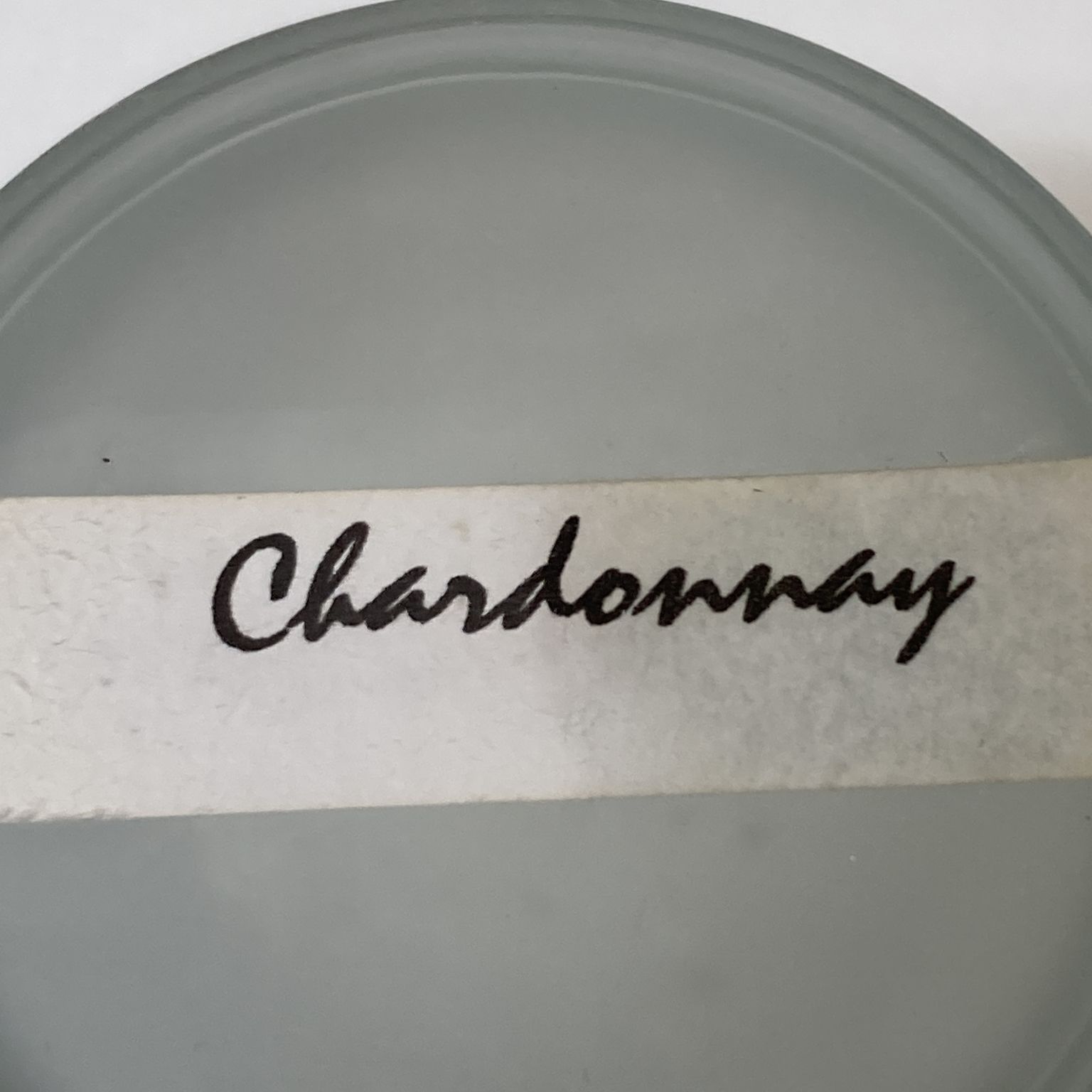 Chardonay