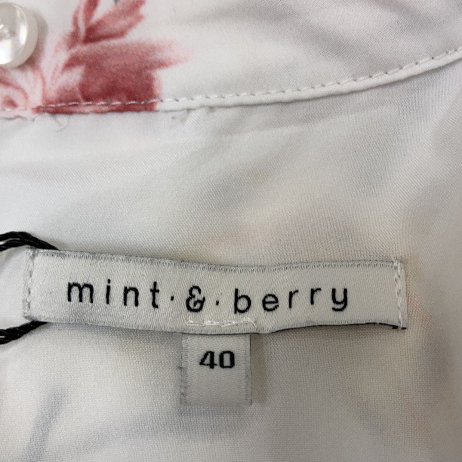 Mint  Berry