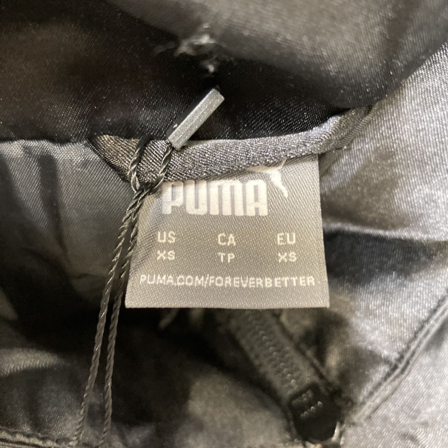 Puma