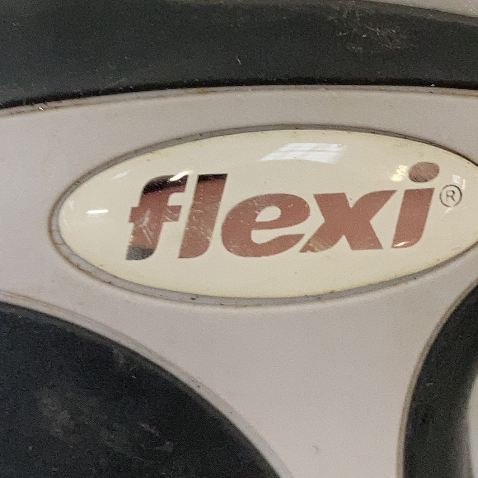 Flexi