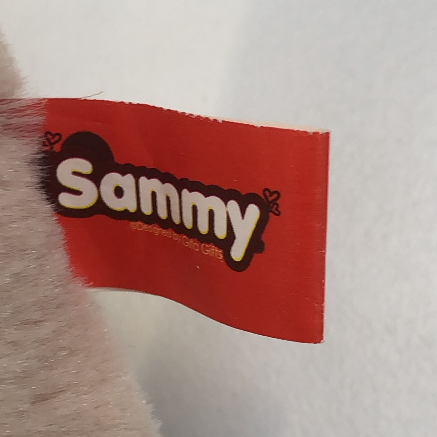 Sammy