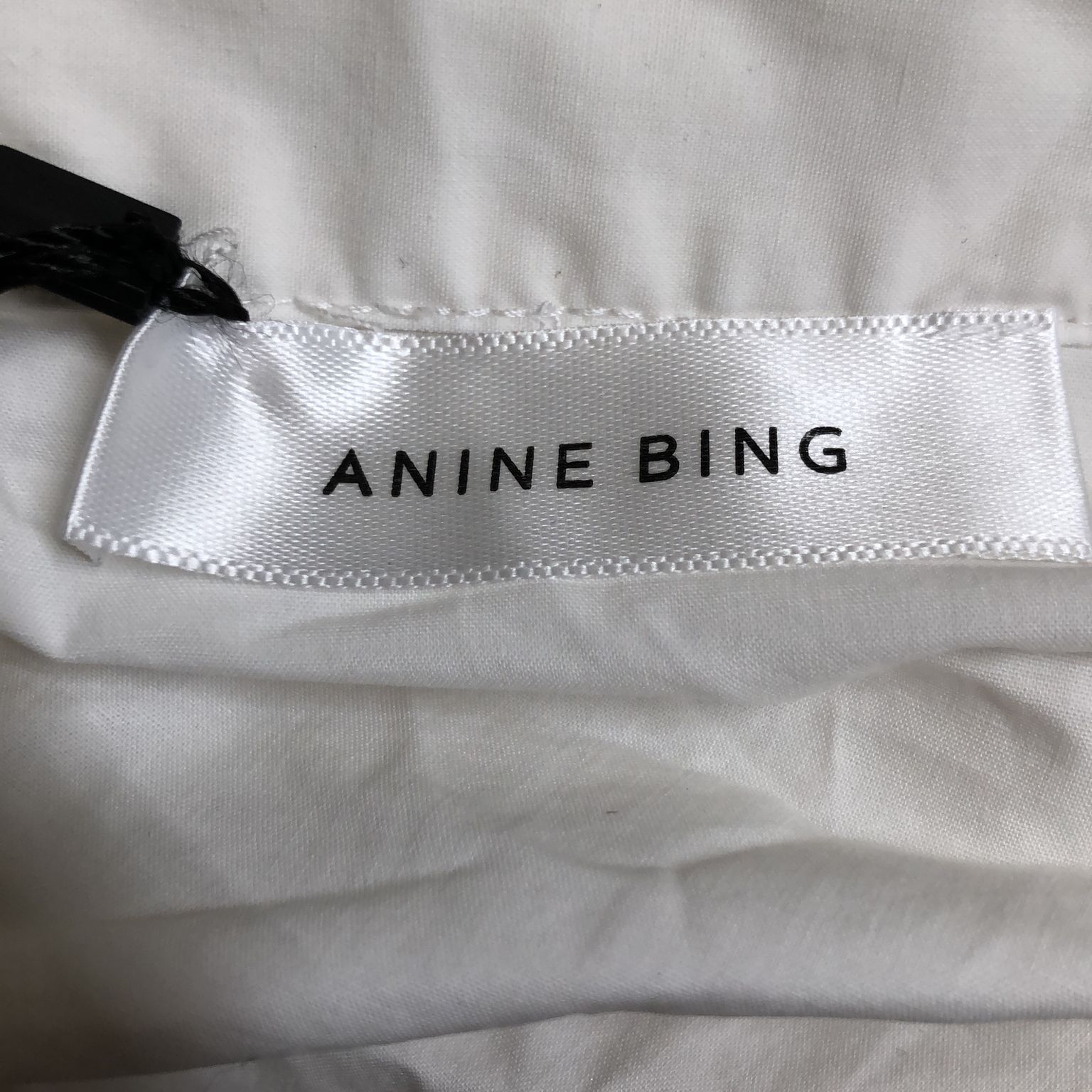 Anine Bing