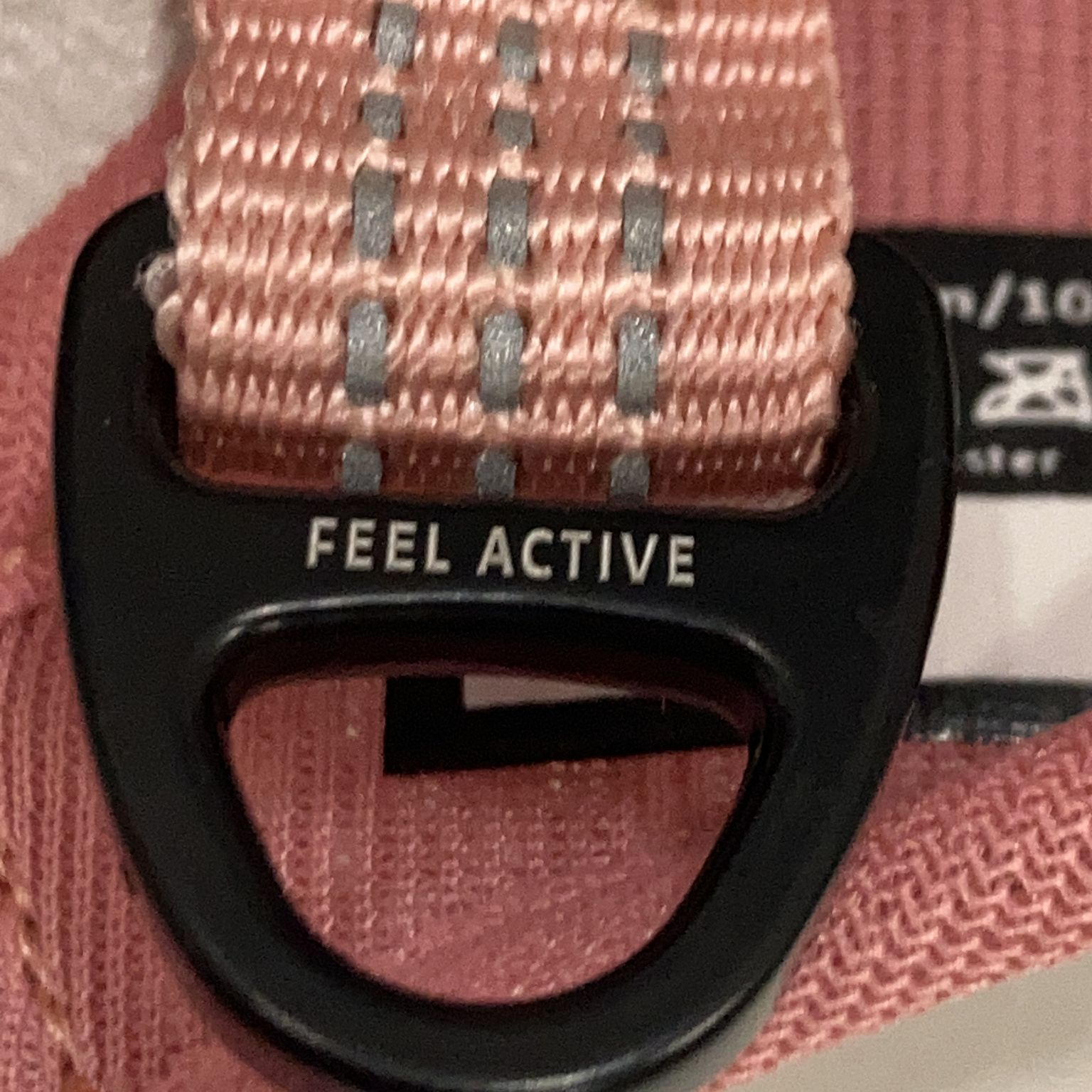 Feel Active