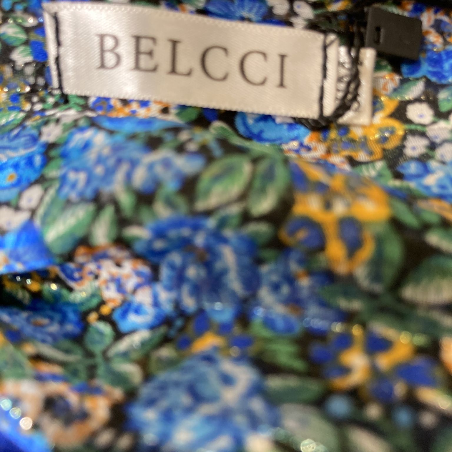 Belcci