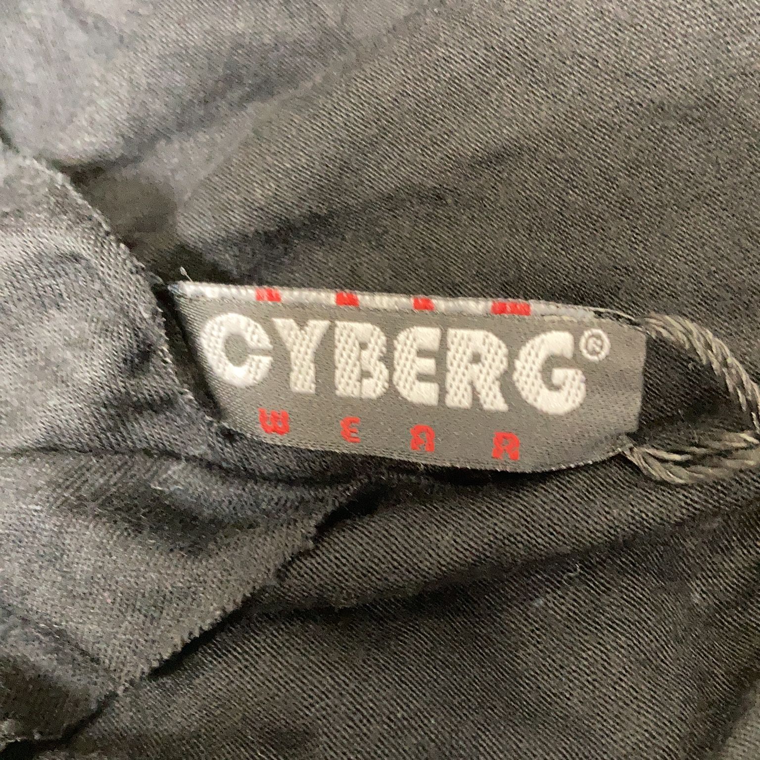 Cyberg