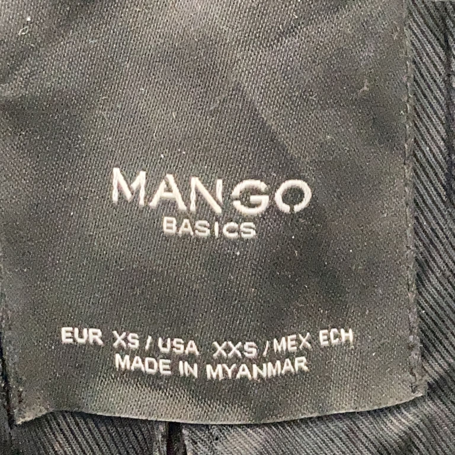 Mango Basics