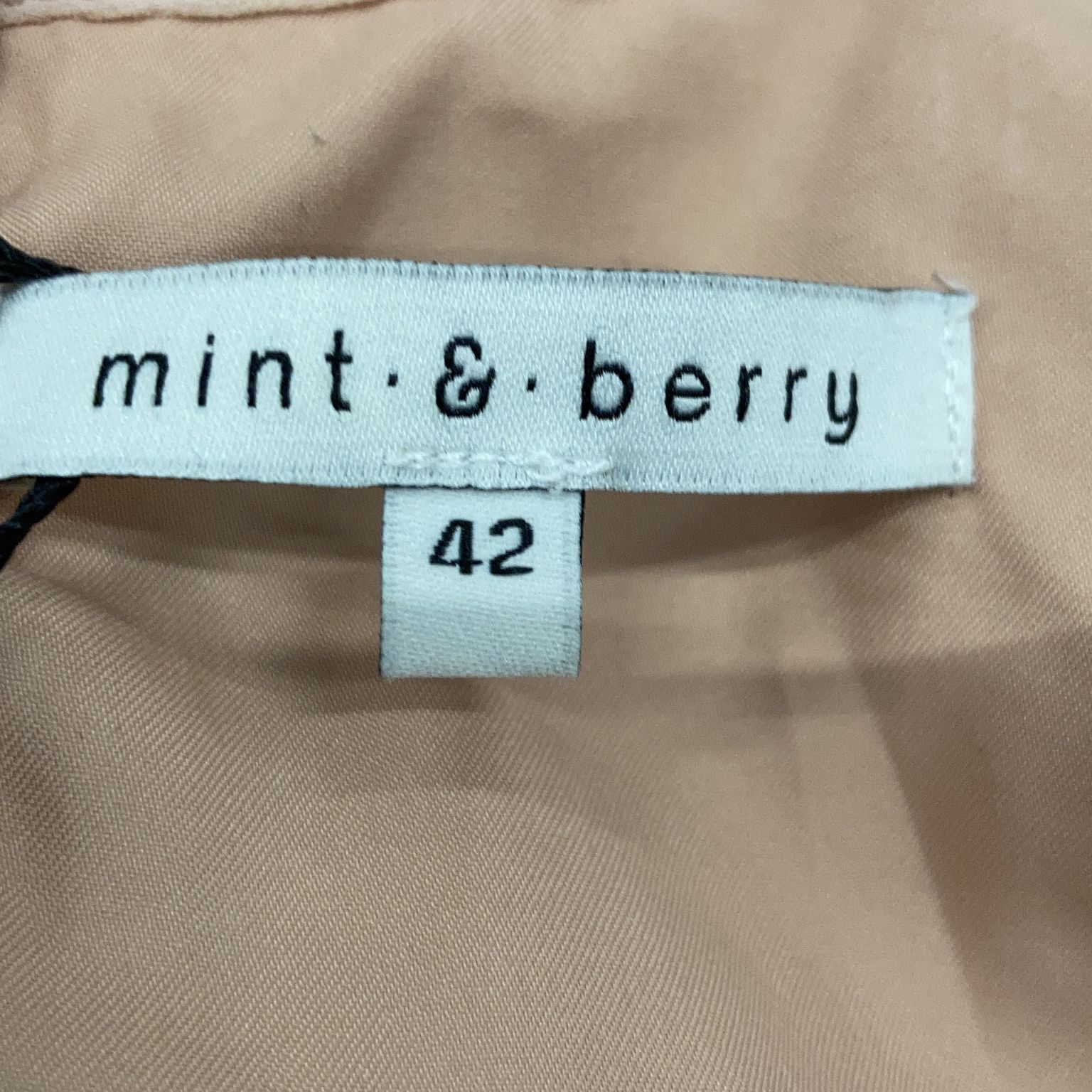 Mint  Berry