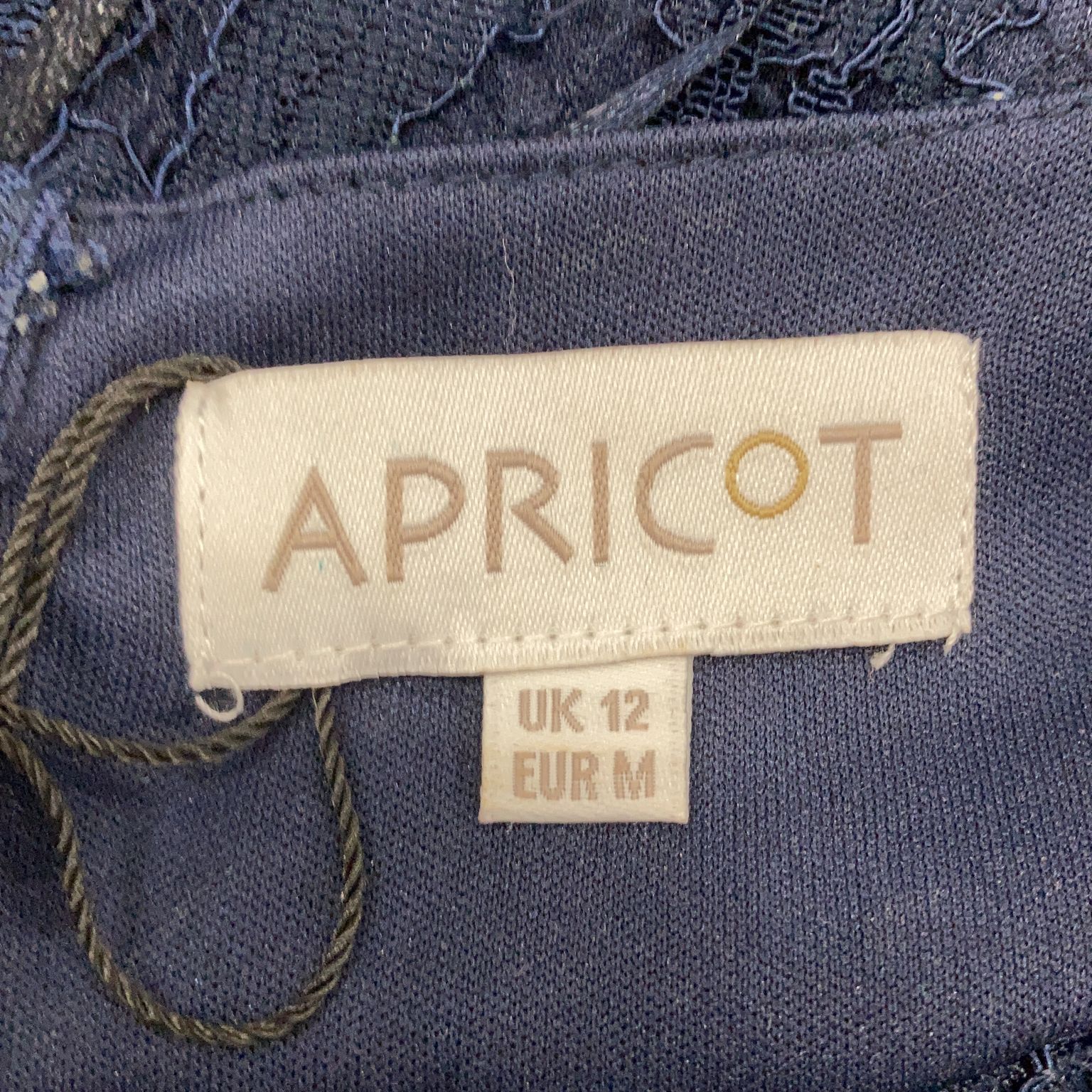 Apricot